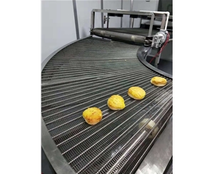 深圳食品网带转弯机