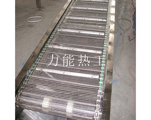 深圳链网输送机