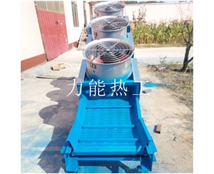 深圳链板提升机