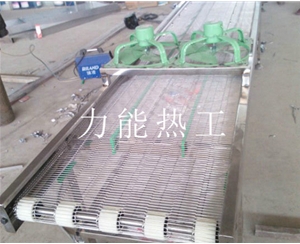 深圳乙字网输送机