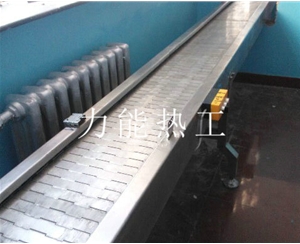 深圳链板输送机