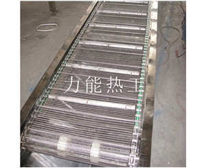深圳链网输送机