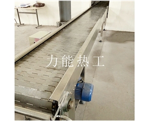 深圳链板输送机